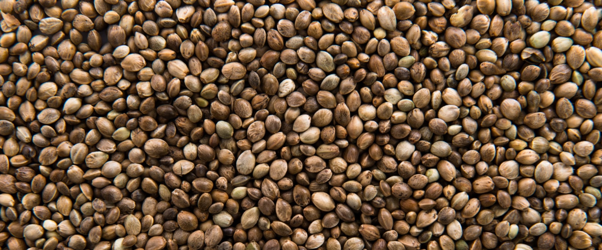 Can Hemp Seeds Help with Depression?