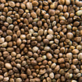 Can Hemp Seeds Help with Depression?