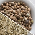 What is Hemp Seed and What is it Used For?